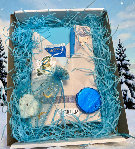 Winter Themed Box